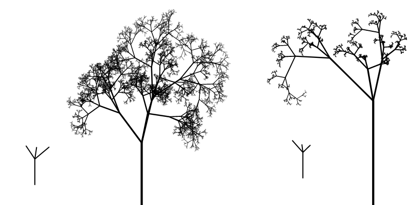 branch shapes define the tree shape